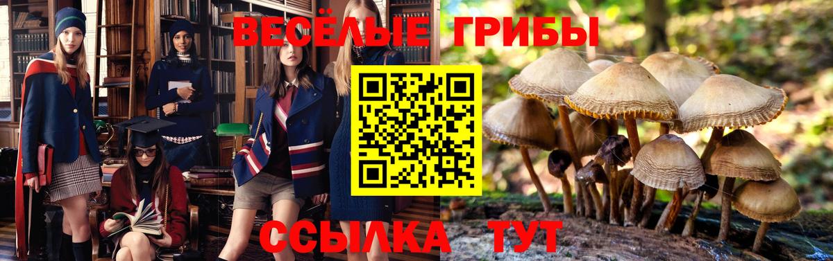 Галлюциногенные грибы мухоморы  Вход с VPN  Городец 
