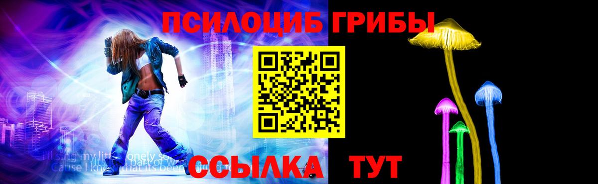 Галлюциногенные грибы Psilocybe Городец
